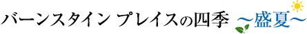 $B%P!<%s%9%?%$%s(B $B%W%l%$%9$N;M5((B $B!A@92F!A(B