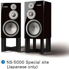 NS-5000 Special site Japanese only