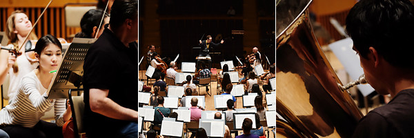 PMF Orchestra