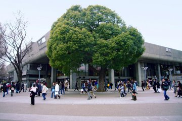 写真：東京文化会館