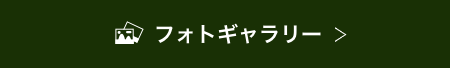 フォトギャラリー