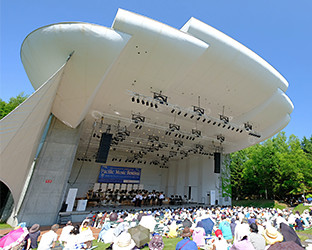 The Picnic Concert