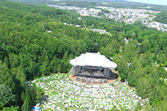 Picnic Concert