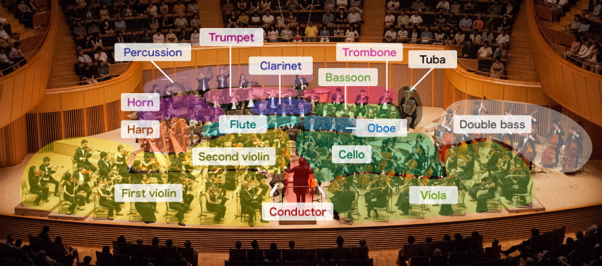 What kinds of instruments does an orchestra include?