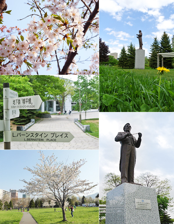 Bernstein Place in Sakura Spring